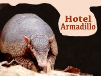 Hotel_Armadillo